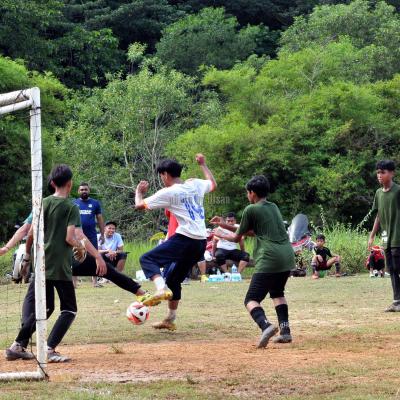 Bola7s 23 066