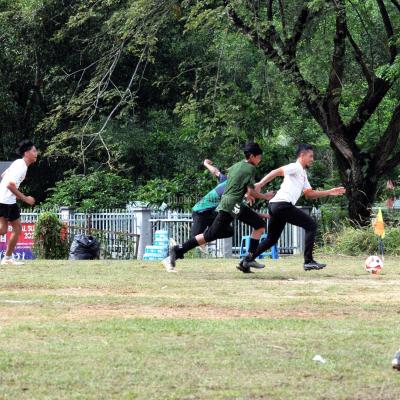 Bola7s 23 085