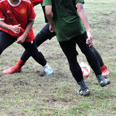 Bola7s 23 149